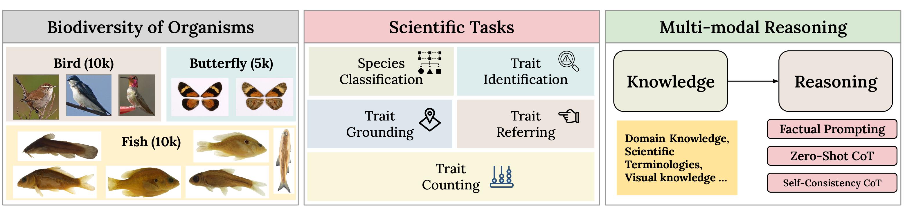 Bio-OrganismFig1.jpg